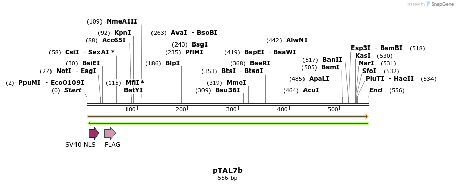 72577_map