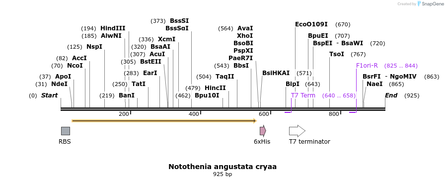 72579_map