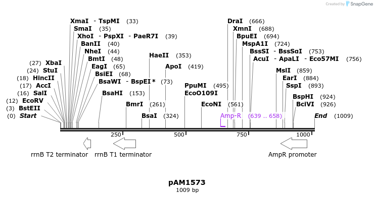 72597_map