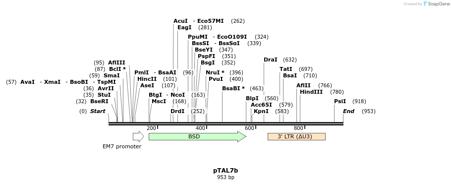 72599_map