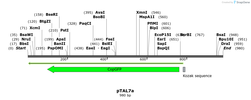 72600_map