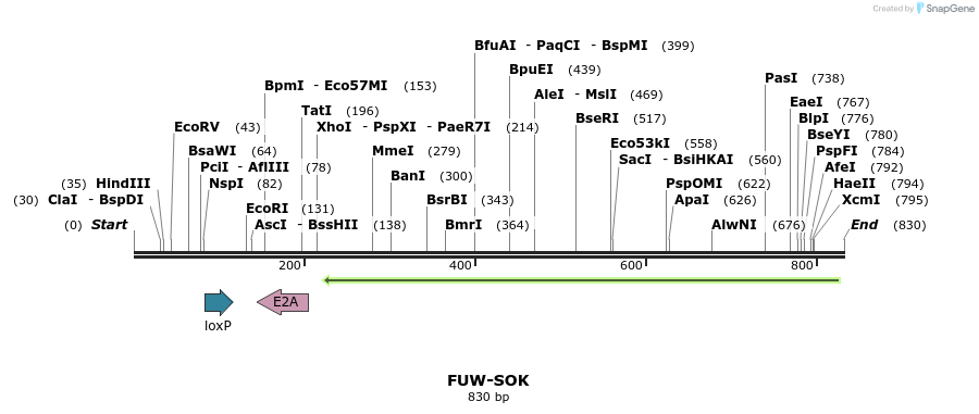 72601_map
