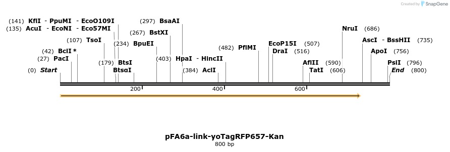 72602_map