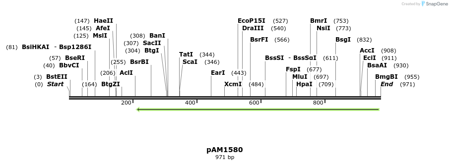 72603_map