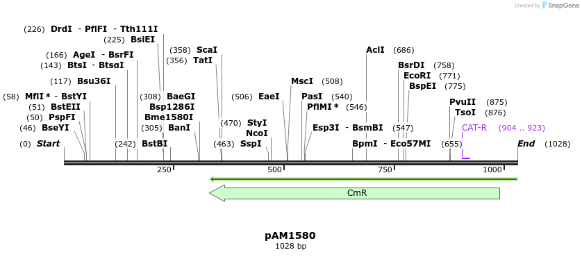 72605_map