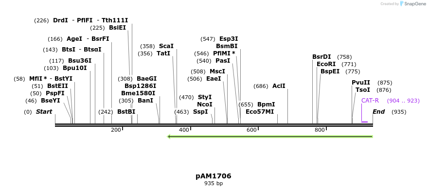 72607_map