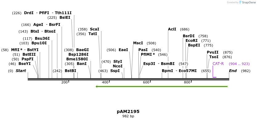 72620_map