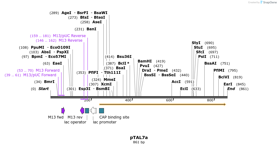 72625_map