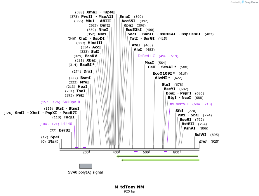 72631_map