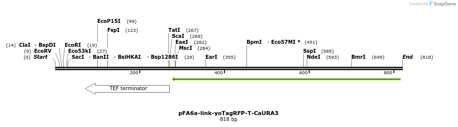 72633_map