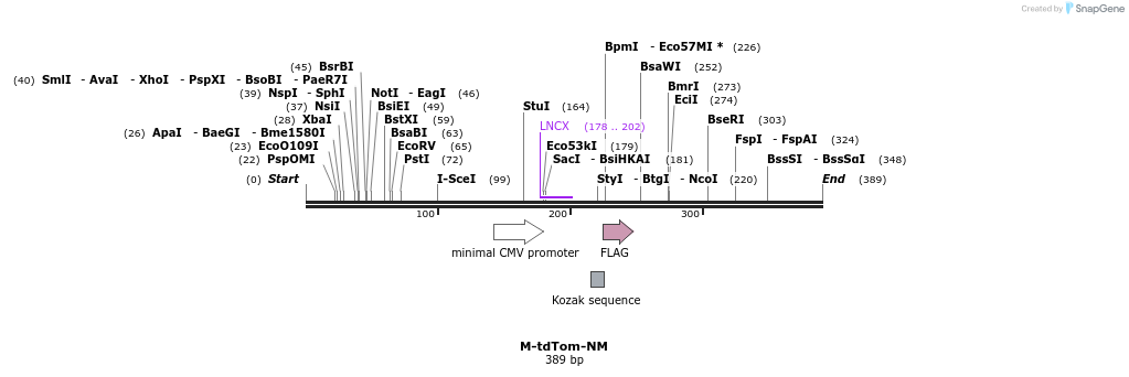 72635_map