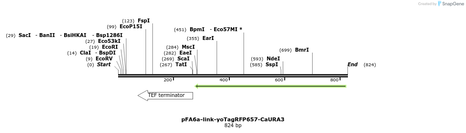 72638_map