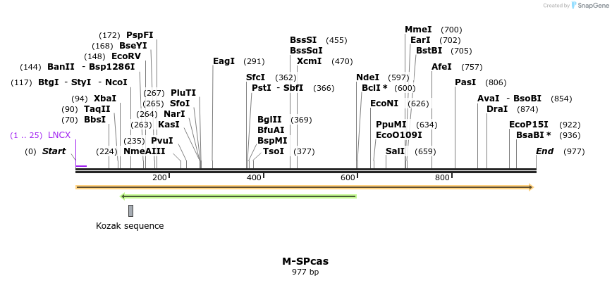 72640_map