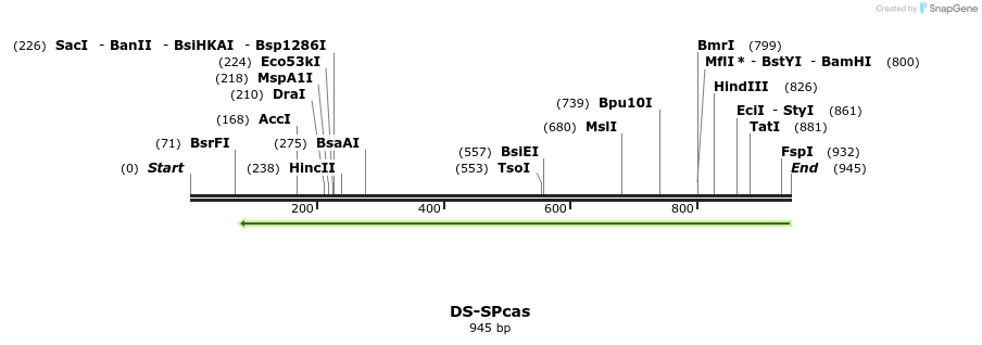 72642_map