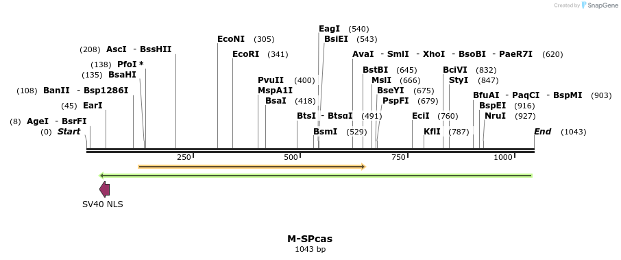 72645_map