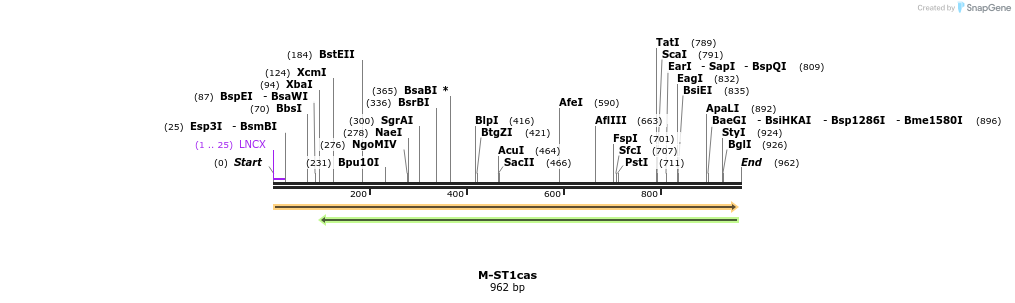72651_map