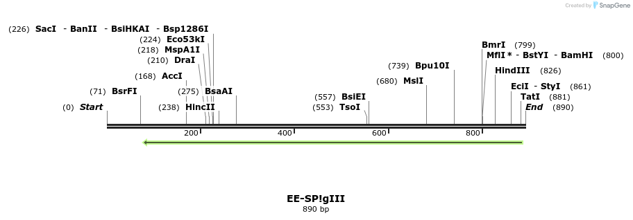 72654_map