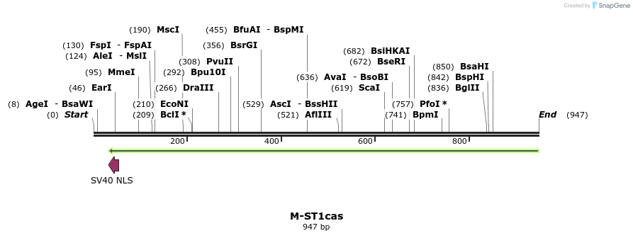 72658_map