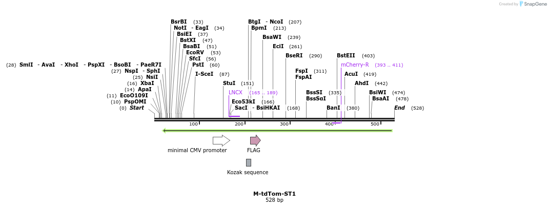 72664_map