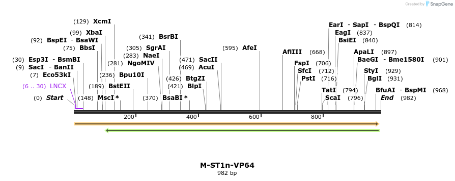 72669_map