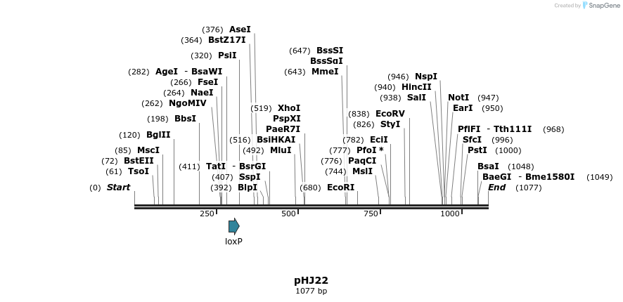 72674_map