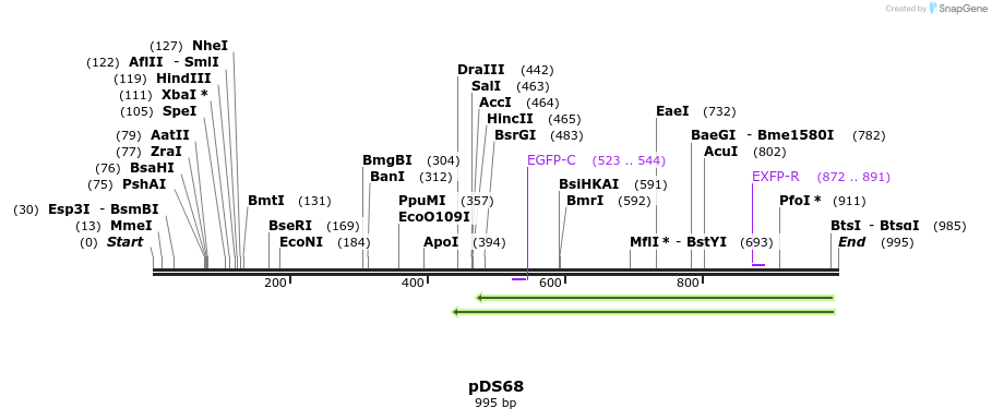 72678_map