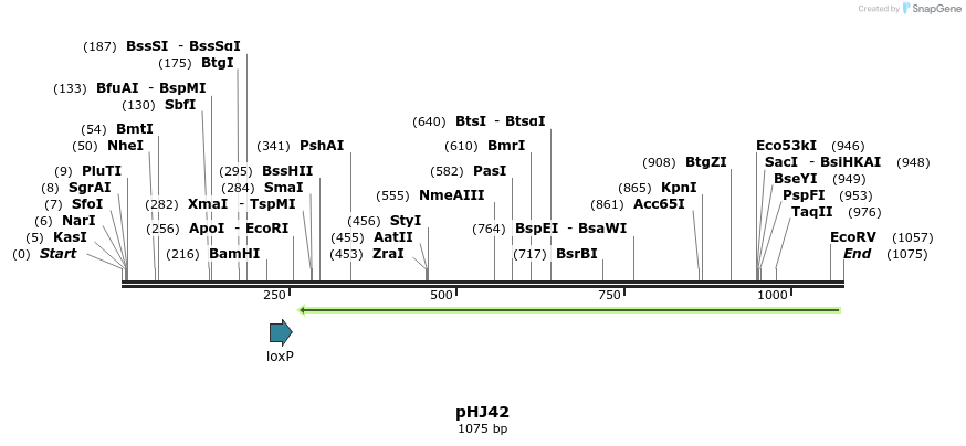 72680_map