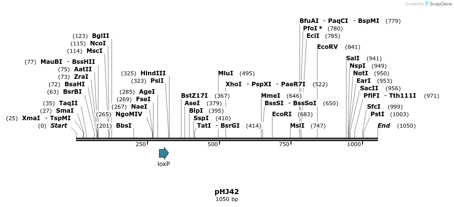 72681_map