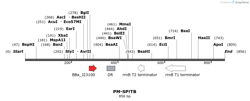 72687_map