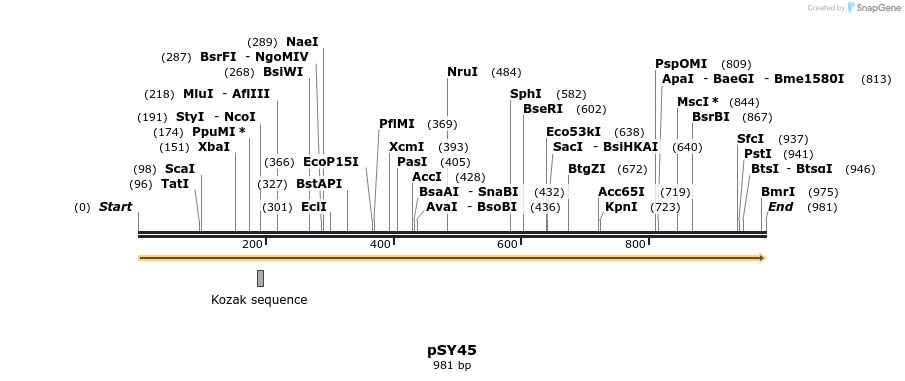 72695_map