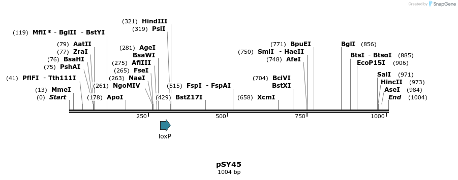 72696_map
