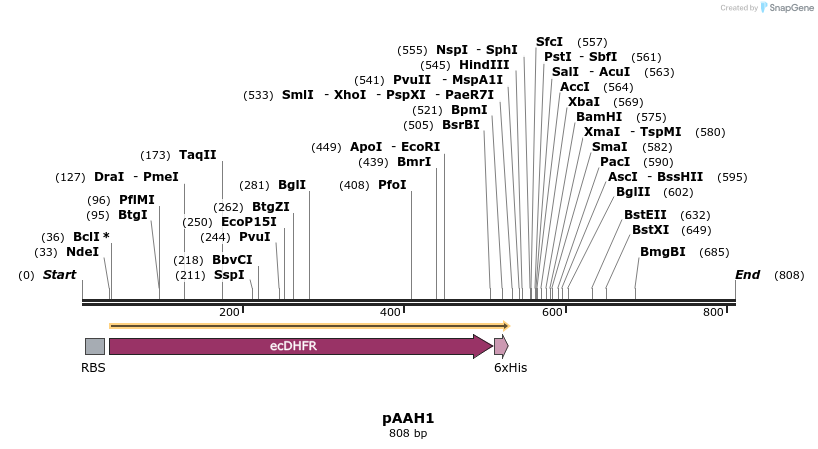 72697_map