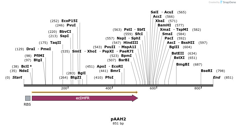72699_map