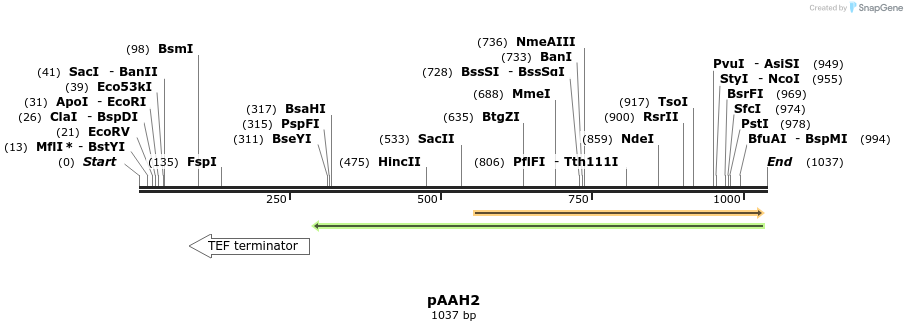 72700_map