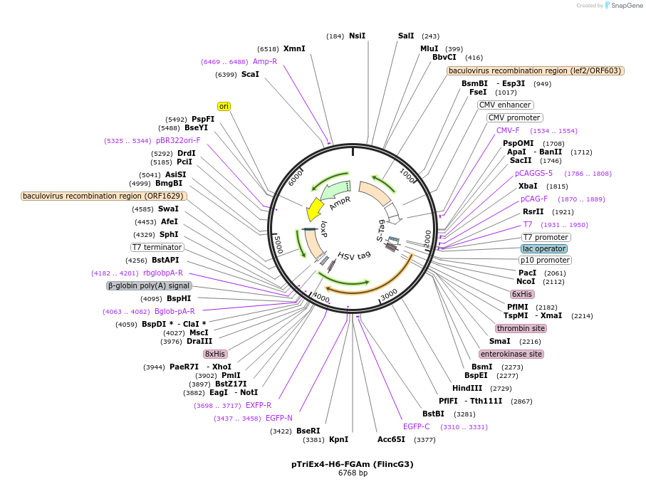 72703_map