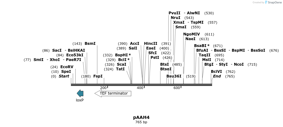 72705_map