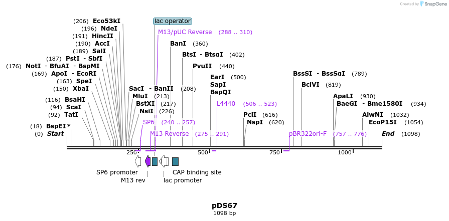 72707_map