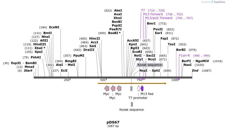 72710_map