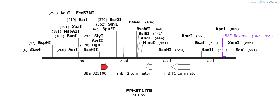72713_map