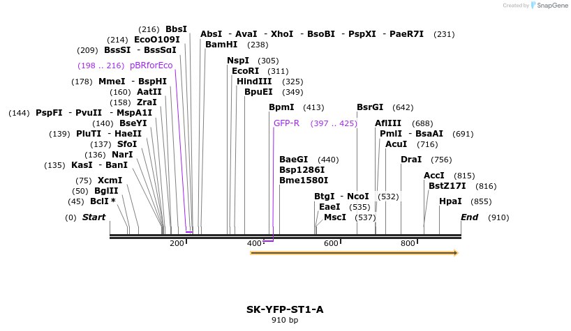 72717_map
