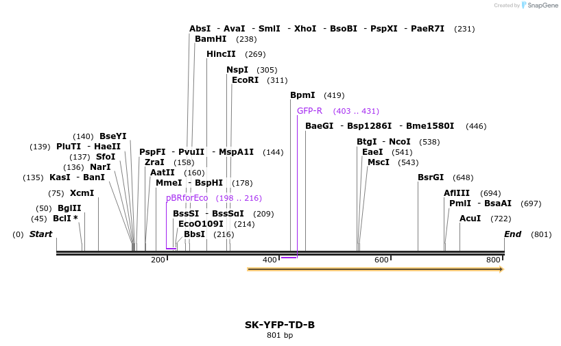 72721_map