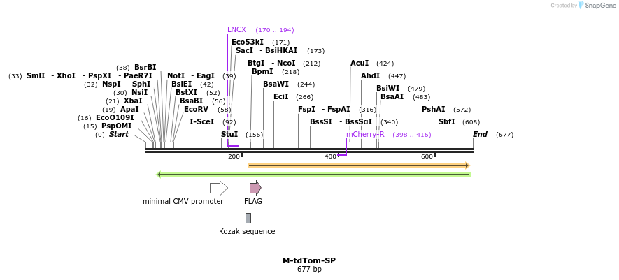 72722_map
