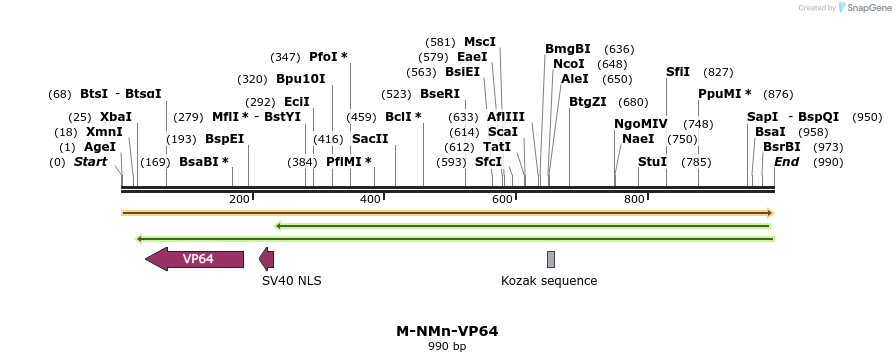 72723_map