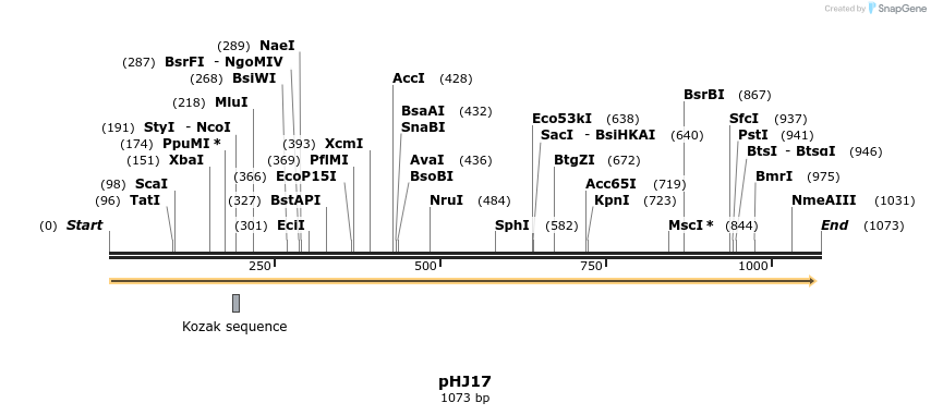 72724_map