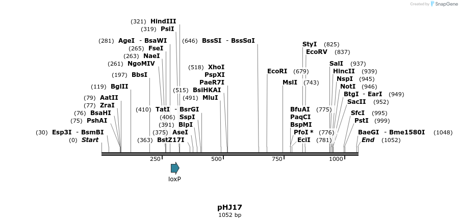 72725_map