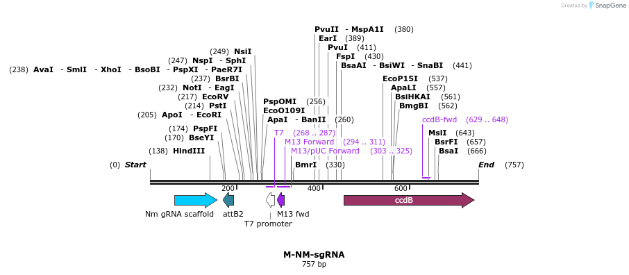 72726_map