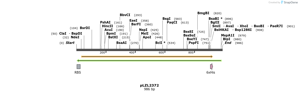 72729_map