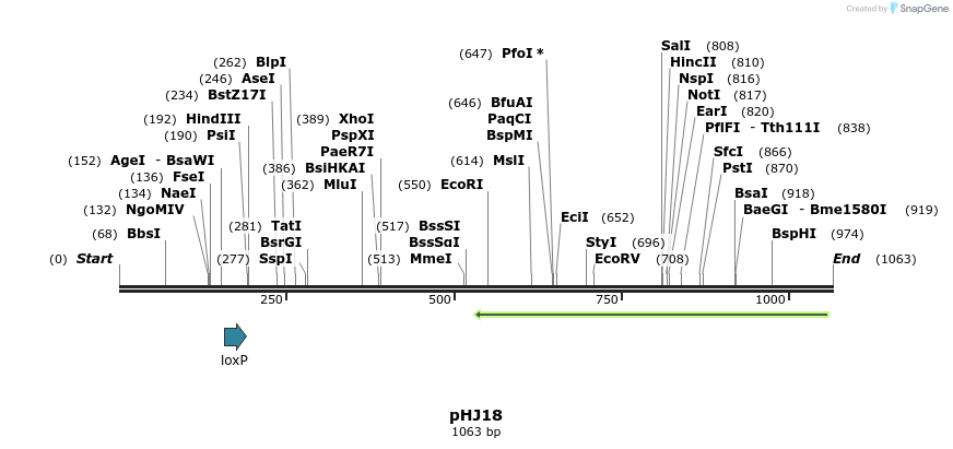 72730_map