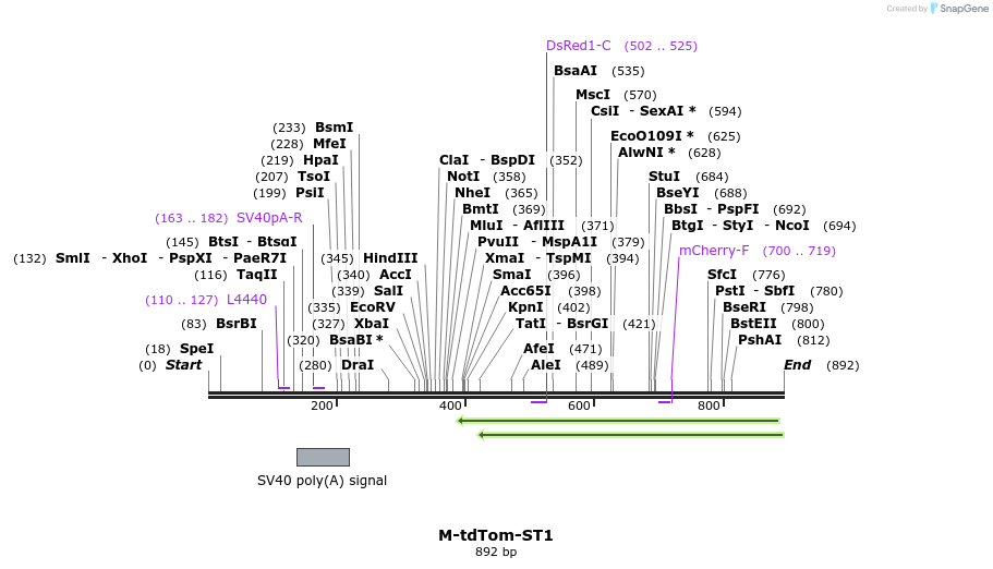 72732_map