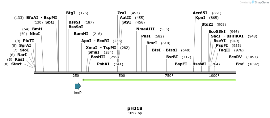 72733_map